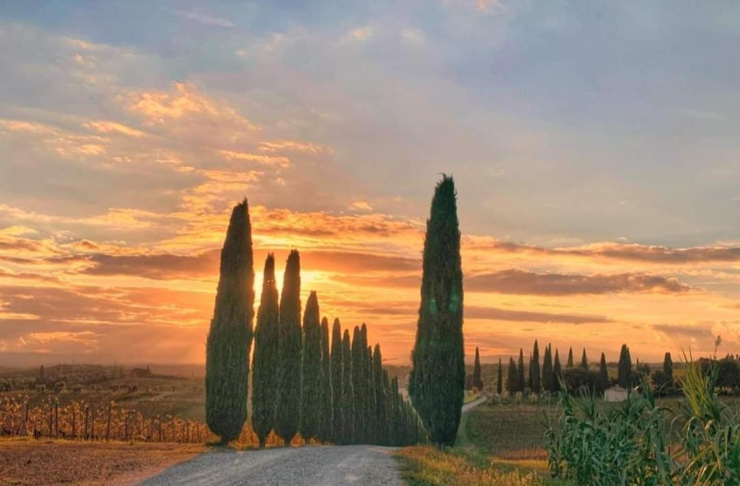 Casa Guardiavigna In Chianti Lejlighed San Gusme Eksteriør billede